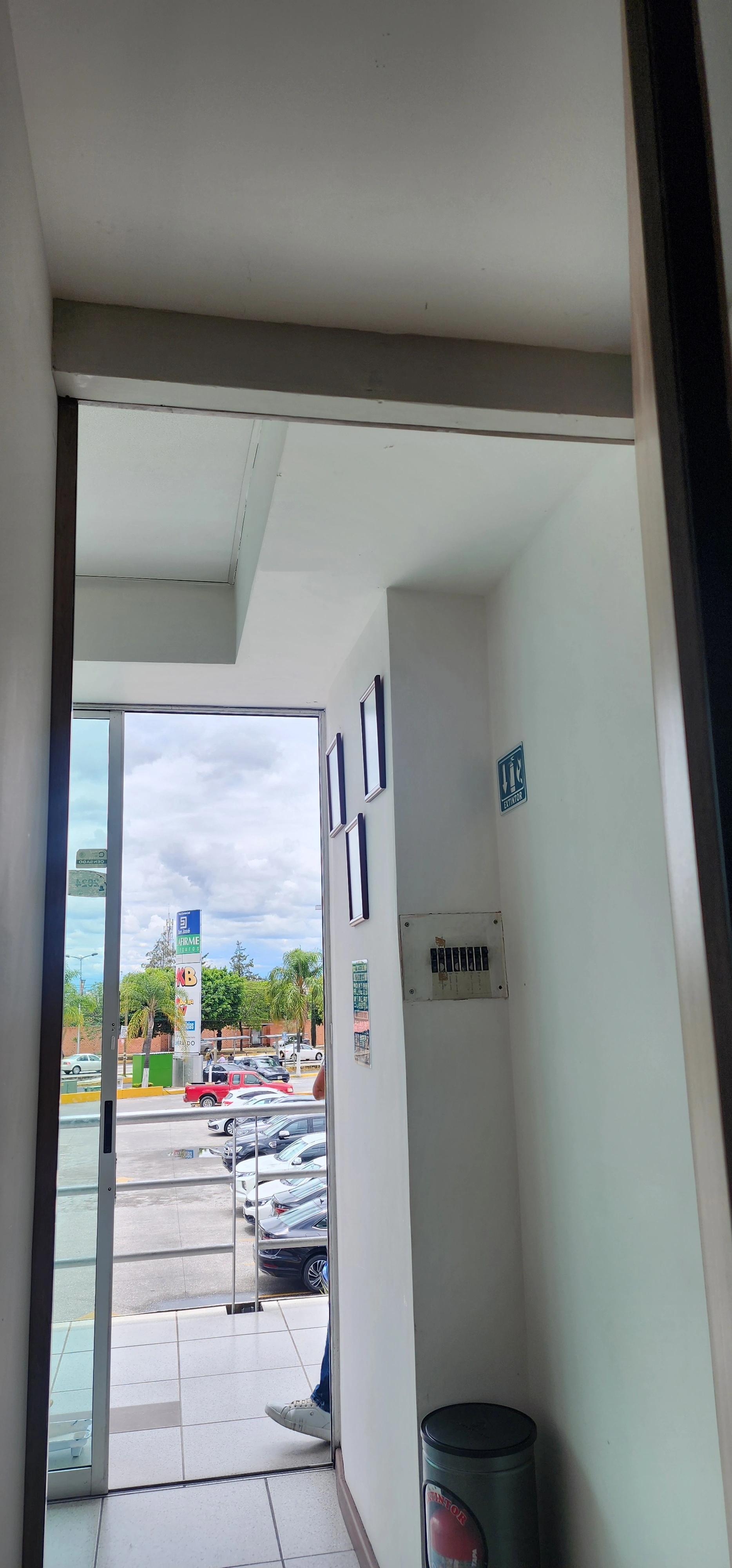 CAPILESSA 19
